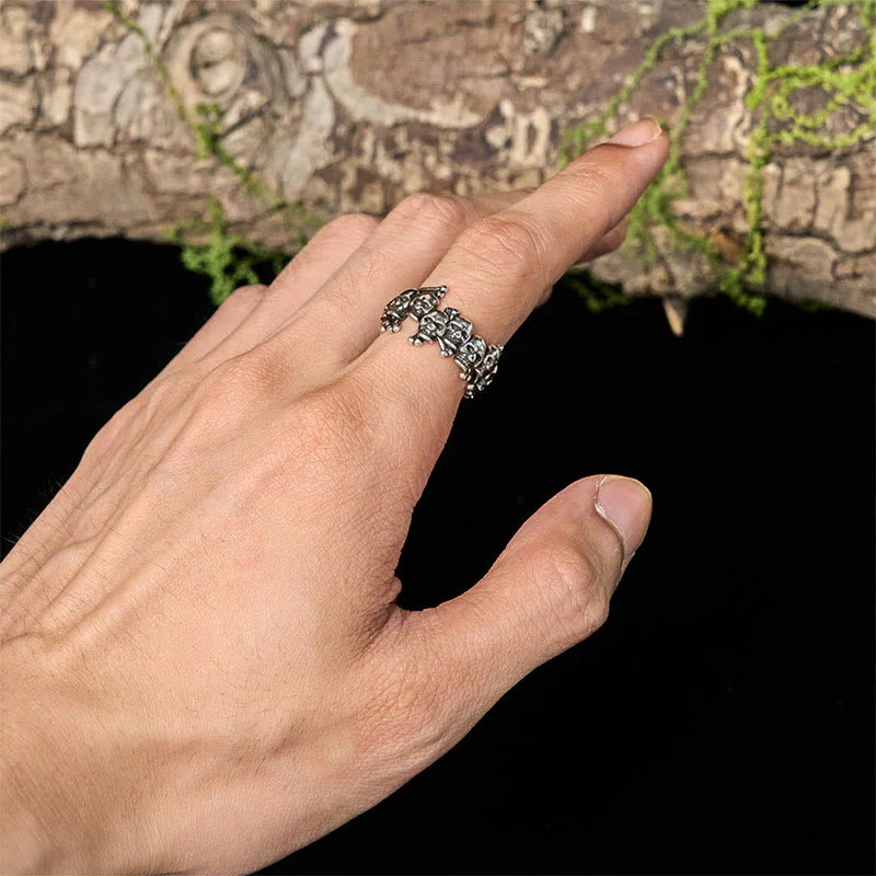 Anello con teschio in rame e Buddha Stones , Signore della foresta dei cadaveri, che tiene lontani gli spiriti maligni - Image 5