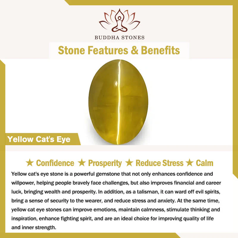 Braccialetto della prosperità con perle di zucca e occhio di gatto giallo Buddha Stones - Image 5