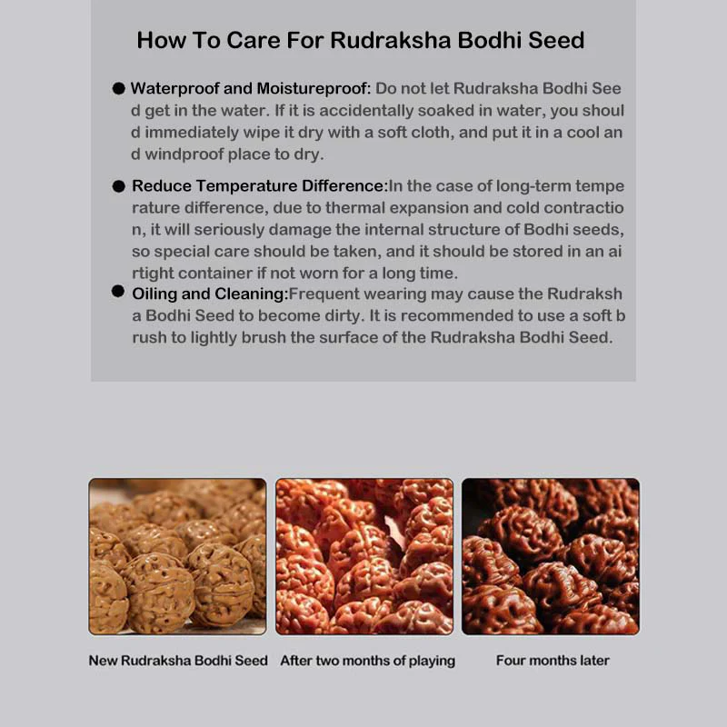 Braccialetto della ricchezza in agata di semi di Bodhi e rudraksha tibetano di Buddha Stones - Image 7