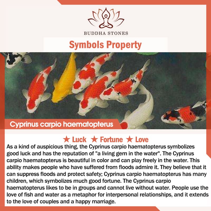 Braccialetto intrecciato con corda in argento Buddha Stones Luck Koi Fish - Image 15