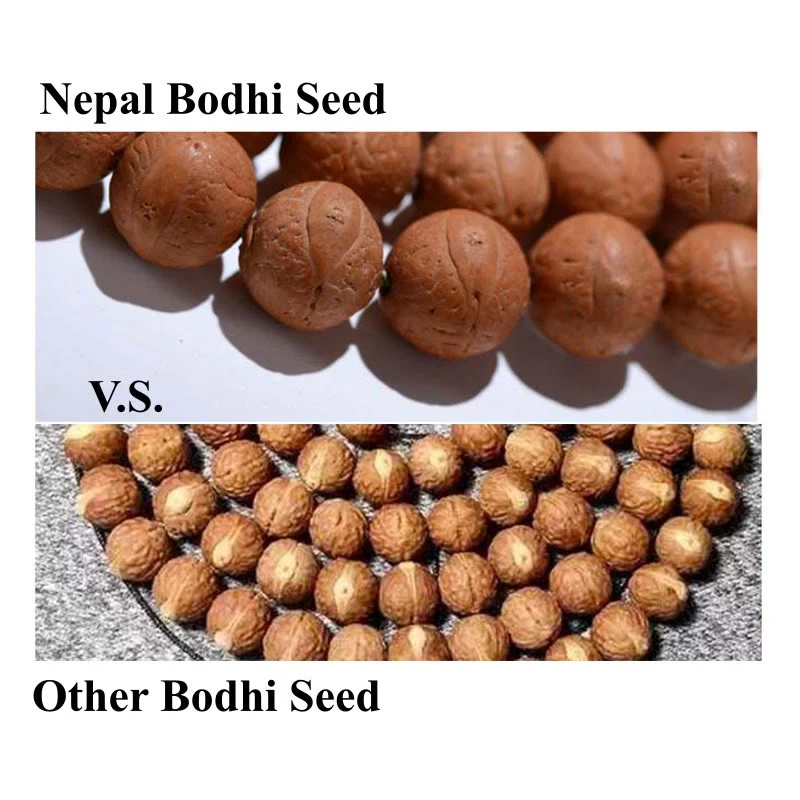 Buddha Stones 108 Mala Beads Nepal Bodhi Seed Fortuna Ricchezza Braccialetto con Nappa - Image 13