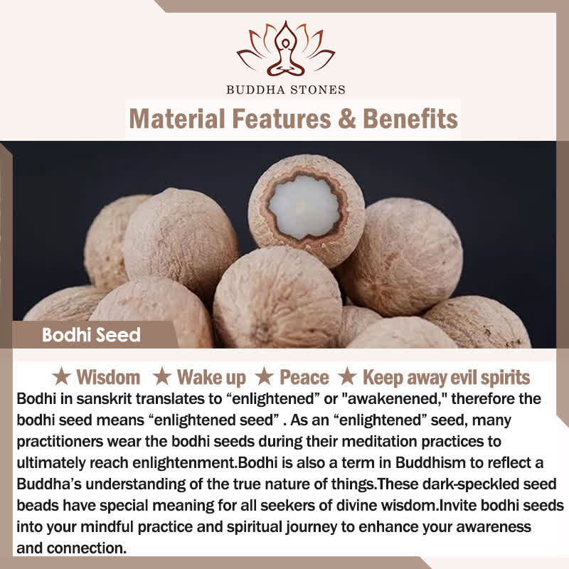 Buddha Stones Braccialetto di forza con semi di Bodhi in ossidiana nera, mantra Yin Yang a nove caratteri, fantasmi di montagna, soldi, spendi - Image 10
