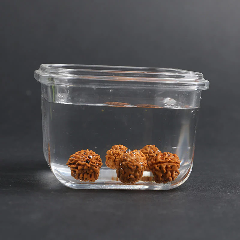 Buddha Stones Tibet Rudraksha Bodhi Seed PiXiu Moneta di rame Braccialetto della fortuna - Image 12