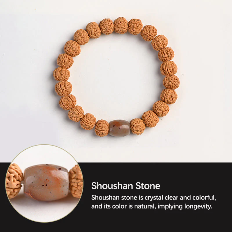 Buddha Stones Tibet Rudraksha Bodhi Seme Ricchezza Auspicio Bracciale - Image 19